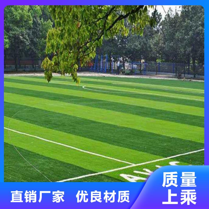 人造草坪_塑胶球场价格实在