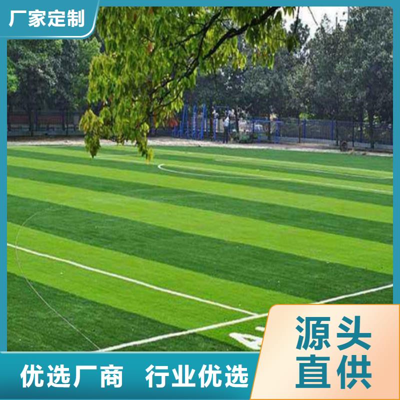 人造草坪_塑胶跑道详细参数