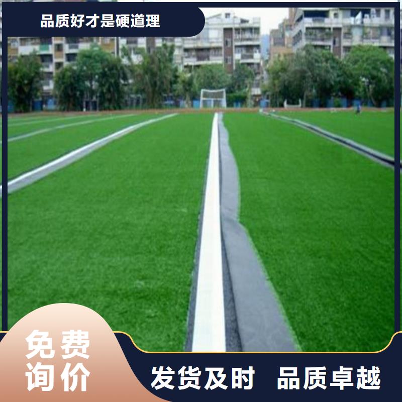 人造草坪塑胶跑道支持定制批发