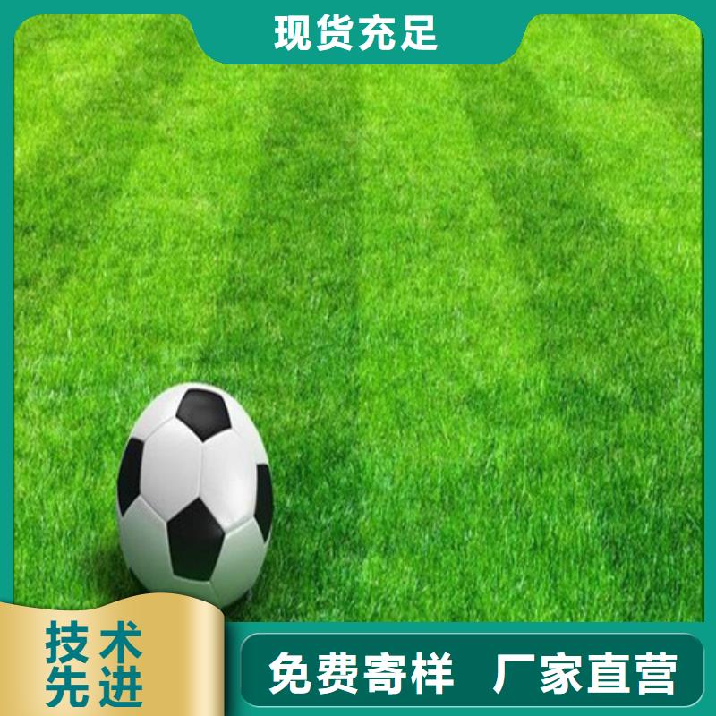 人造草坪,荧光发光跑道发货迅速