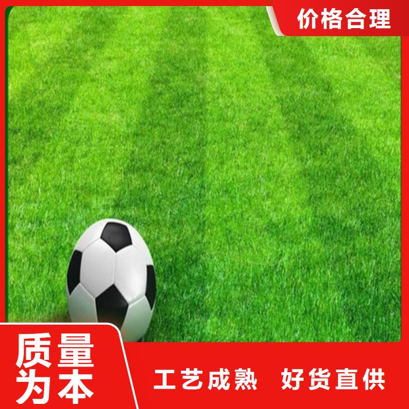人造草坪商家直供