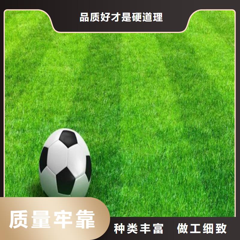 人造草坪 仿真草皮多种款式可随心选择