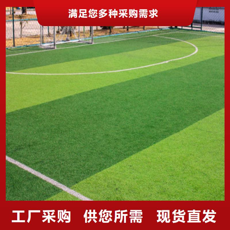 人造草坪,荧光发光跑道发货迅速