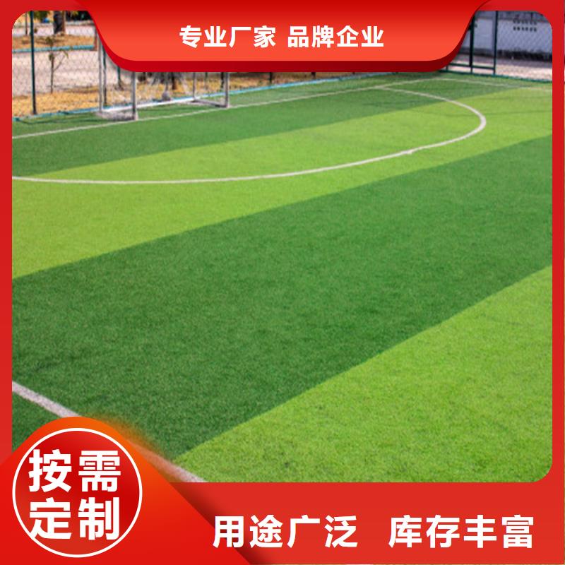  人造草坪品种全
