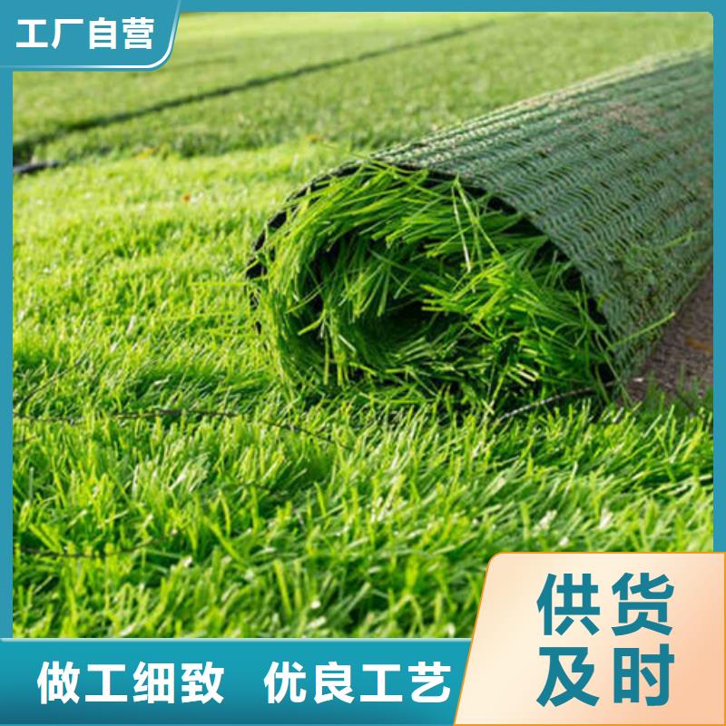人造草坪老品牌厂家
