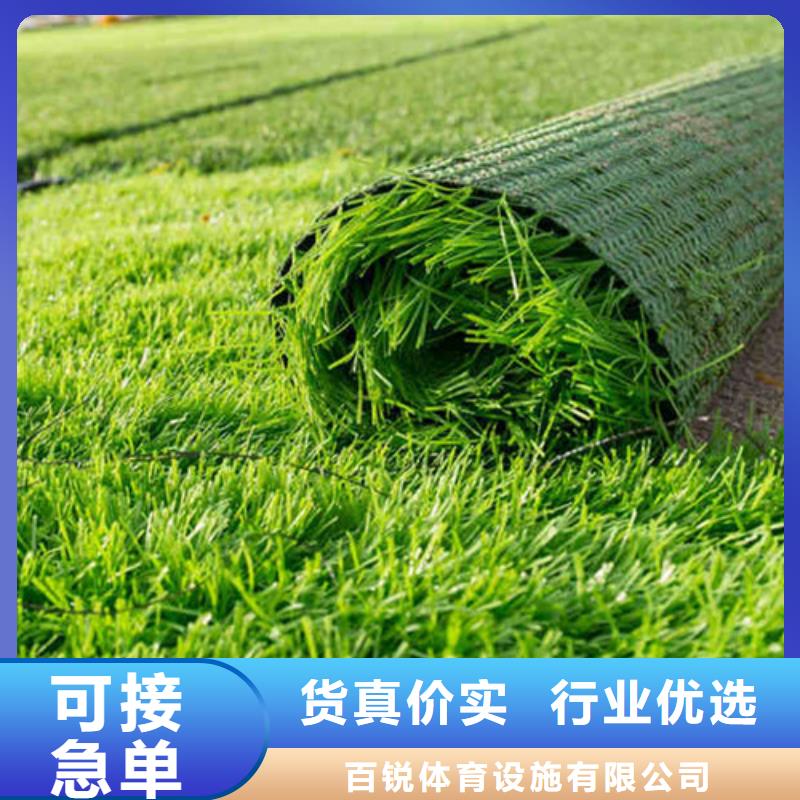 【人造草坪】硅PU球场优质工艺