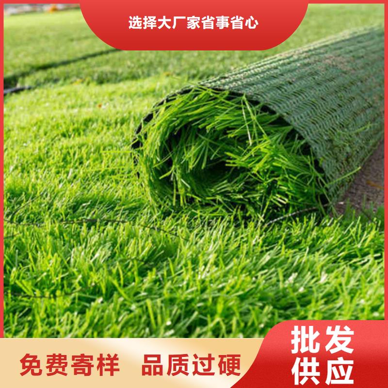 人造草坪,荧光发光跑道发货迅速