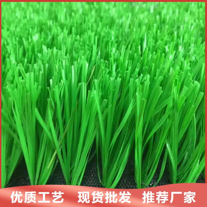 人造草坪,荧光发光跑道发货迅速
