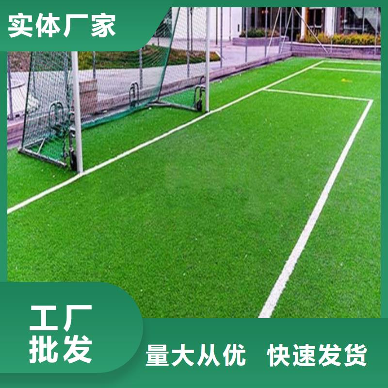 【人造草坪】硅PU球场优质工艺