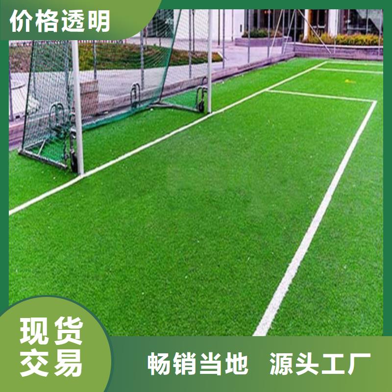 人造草坪品种全