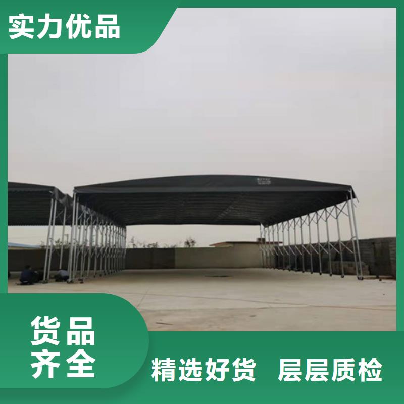 雨蓬实力大厂家