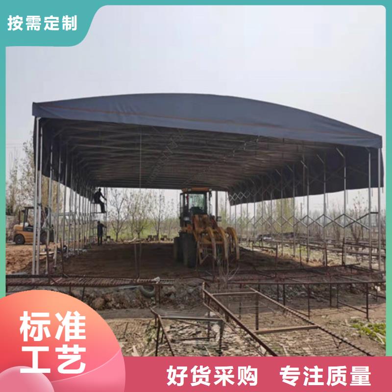 雨蓬专业完善售后