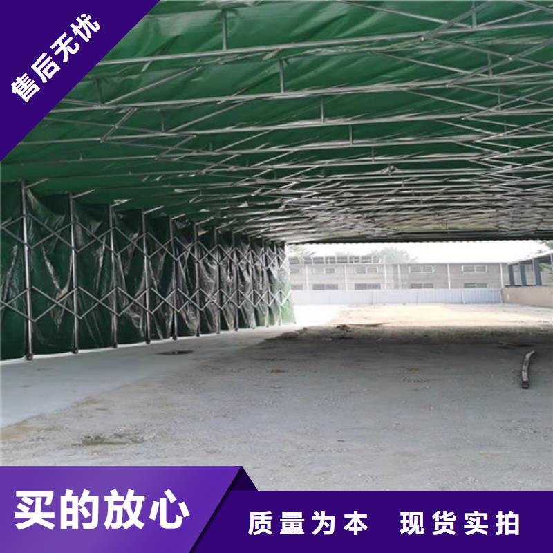 雨蓬实力大厂家