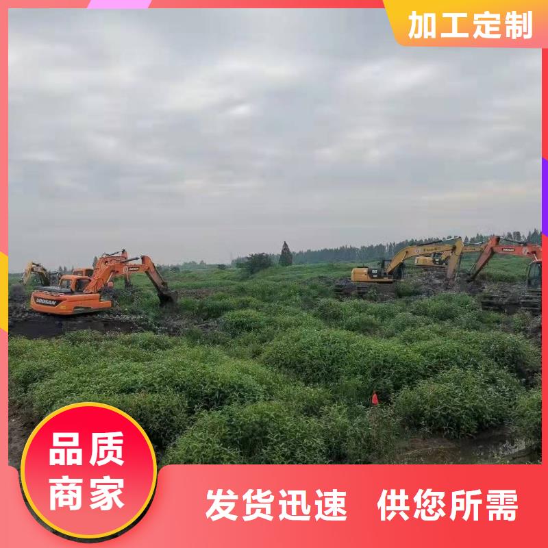 水上挖机出租水上船挖出租租赁当日价格