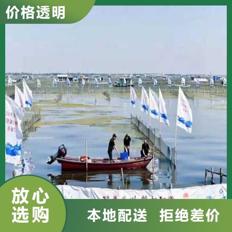 阳澄湖大闸蟹视频-阳澄湖大闸蟹|海北市|海南|黄南|海东|西宁|果洛|玉树|海西