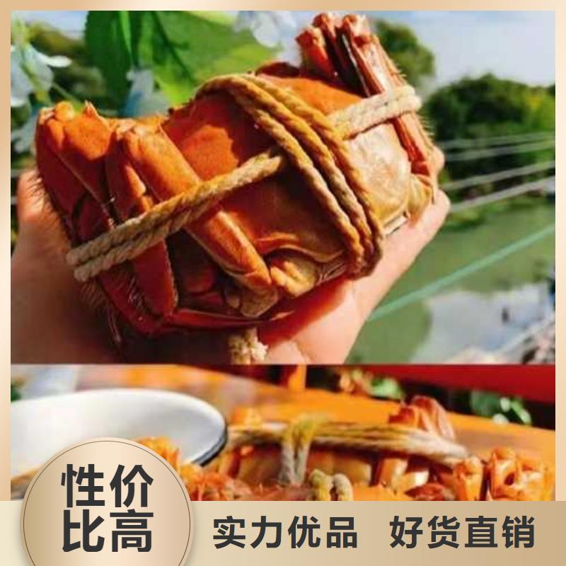 去阳澄湖大闸蟹哪里好好吃在苏州阳澄湖