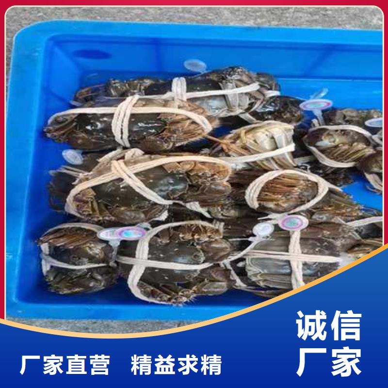 去阳澄湖大闸蟹哪里好好吃在苏州阳澄湖