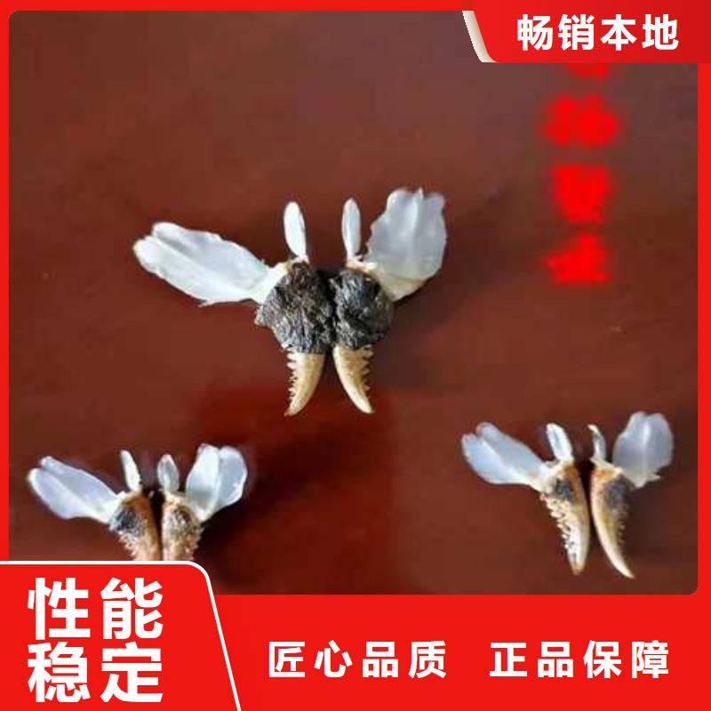 阳澄湖吃大闸蟹哪里正宗苏州莲花岛