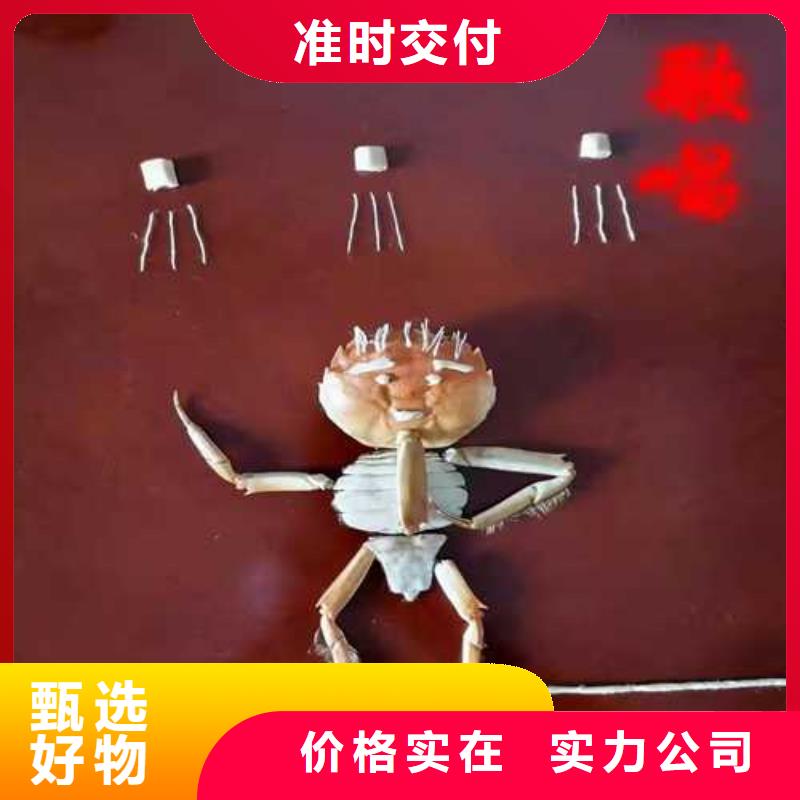 去阳澄湖吃蟹哪里好在苏州阳澄湖