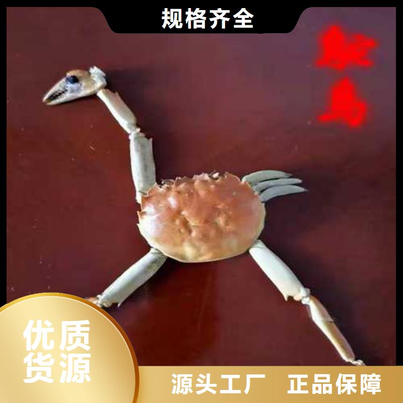 阳澄湖大闸蟹视频-阳澄湖大闸蟹|海北市|海南|黄南|海东|西宁|果洛|玉树|海西