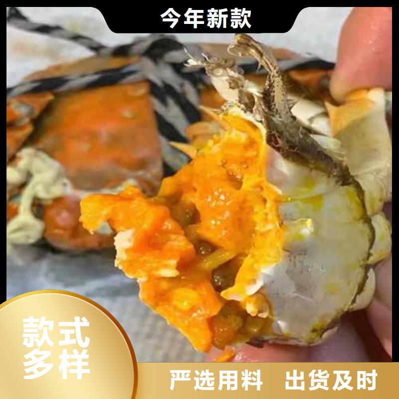 阳澄湖大闸蟹视频-阳澄湖大闸蟹|海北市|海南|黄南|海东|西宁|果洛|玉树|海西
