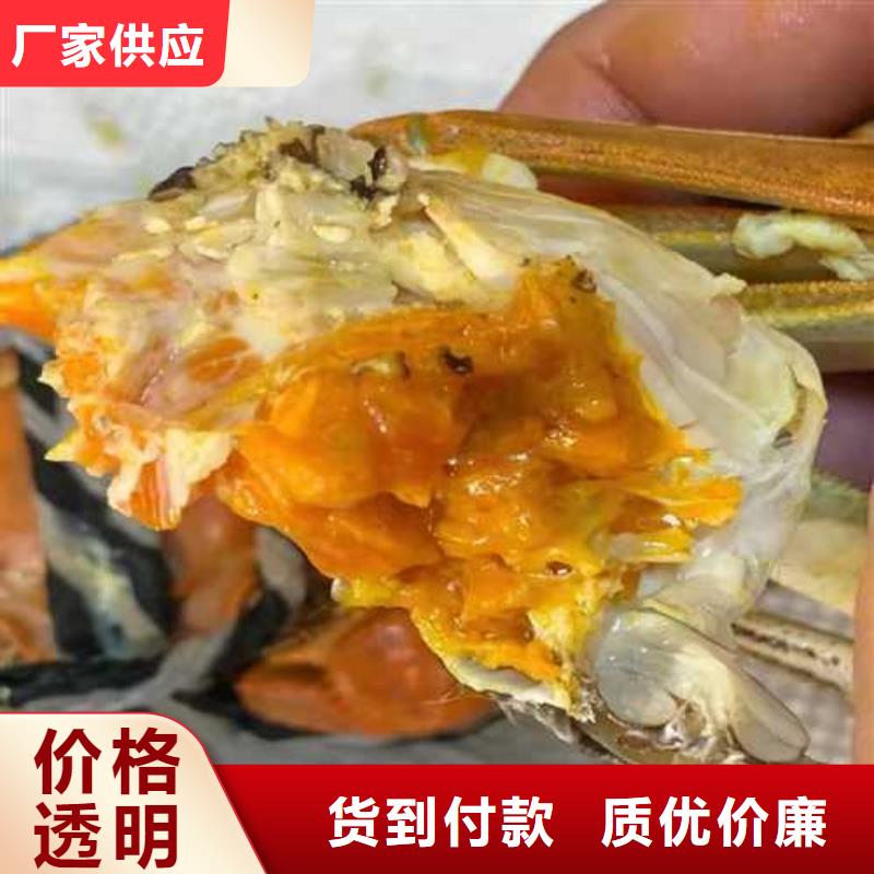去阳澄湖吃蟹哪里好在苏州阳澄湖
