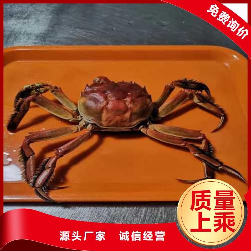 阳澄湖大闸蟹视频-阳澄湖大闸蟹|海北市|海南|黄南|海东|西宁|果洛|玉树|海西