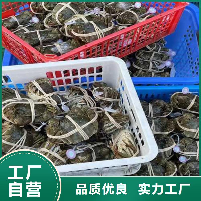 阳澄湖吃大闸蟹哪里好苏州莲花岛
