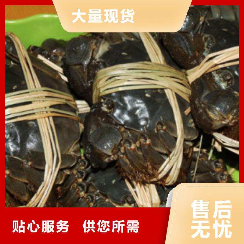 阳澄湖大闸蟹哪里正宗苏州莲花岛顾记蟹庄