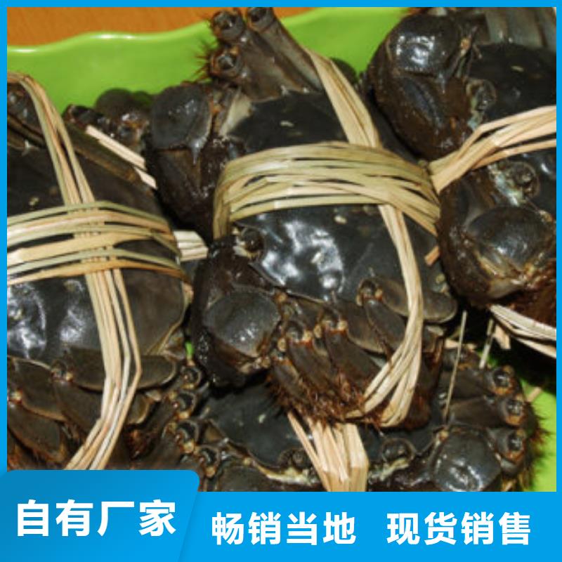 阳澄湖大闸蟹哪里正宗苏州莲花岛顾记蟹庄
