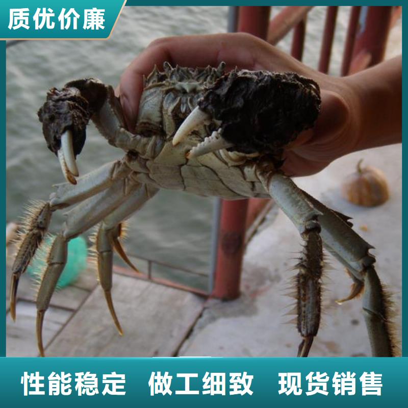 阳澄湖吃大闸蟹哪里好苏州莲花岛