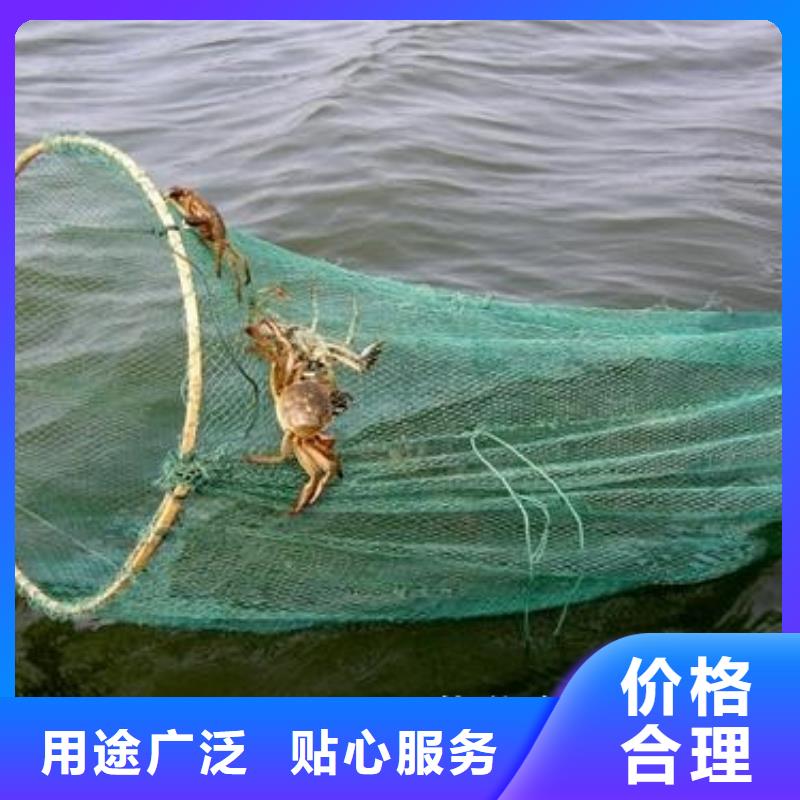 阳澄湖大闸蟹哪里正宗苏州莲花岛顾记蟹庄