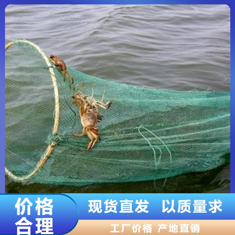 阳澄湖大闸蟹哪里正宗苏州莲花岛顾记蟹庄
