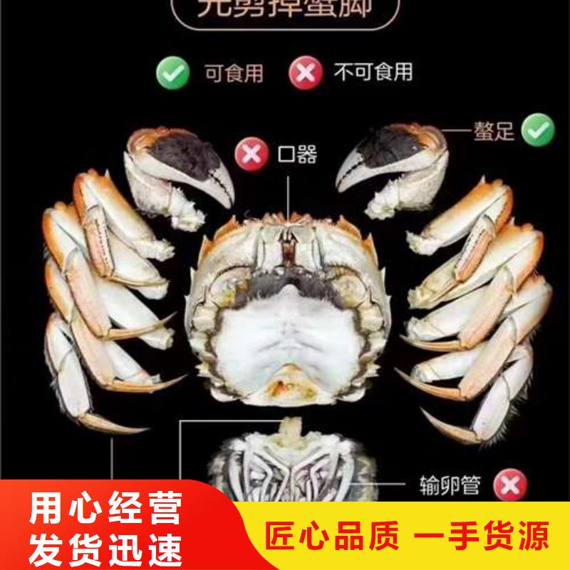阳澄湖大闸蟹视频-南阳市阳澄湖大闸蟹-(附近)可服务区域社旗|西峡|新乡|信阳|漯河|洛阳|濮阳|开封|许昌