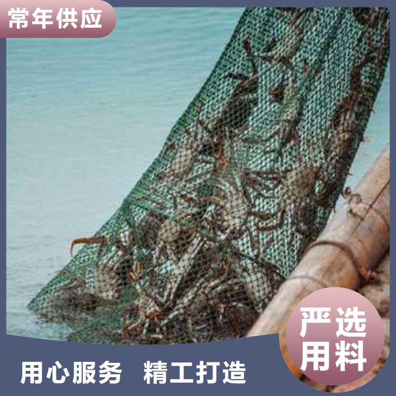 阳澄湖大闸蟹视频-南阳市阳澄湖大闸蟹-(附近)可服务区域社旗|西峡|新乡|信阳|漯河|洛阳|濮阳|开封|许昌