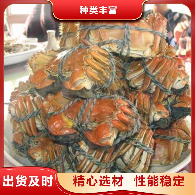 阳澄湖大闸蟹视频-南阳市阳澄湖大闸蟹-(附近)可服务区域社旗|西峡|新乡|信阳|漯河|洛阳|濮阳|开封|许昌