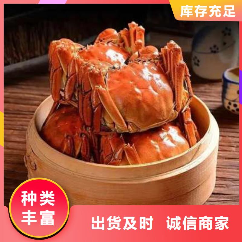 阳澄湖大闸蟹视频-南阳市阳澄湖大闸蟹-(附近)可服务区域社旗|西峡|新乡|信阳|漯河|洛阳|濮阳|开封|许昌