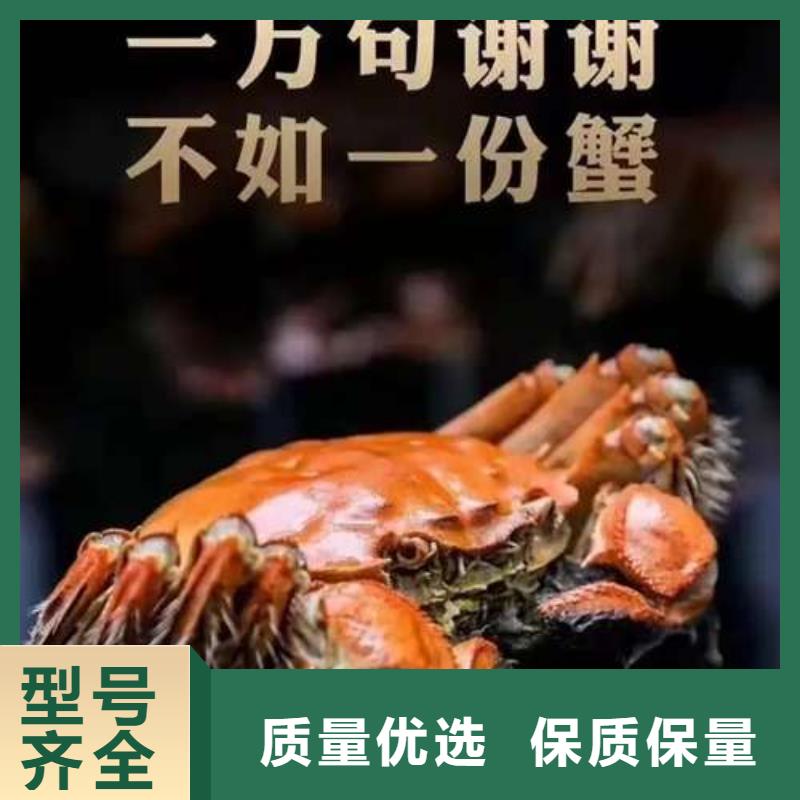 阳澄湖大闸蟹视频-南阳市阳澄湖大闸蟹-(附近)可服务区域社旗|西峡|新乡|信阳|漯河|洛阳|濮阳|开封|许昌