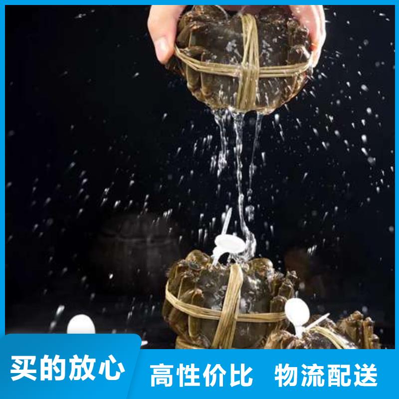 阳澄湖大闸蟹视频-南阳市阳澄湖大闸蟹-(附近)可服务区域社旗|西峡|新乡|信阳|漯河|洛阳|濮阳|开封|许昌