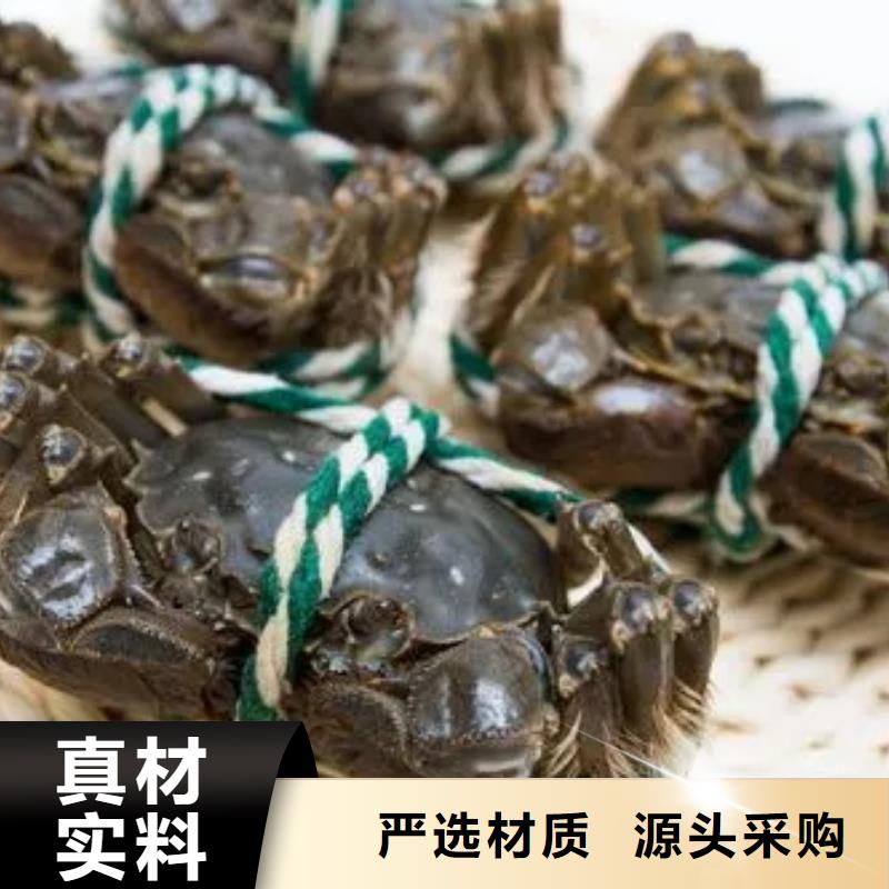 阳澄湖大闸蟹视频-南阳市阳澄湖大闸蟹-(附近)可服务区域社旗|西峡|新乡|信阳|漯河|洛阳|濮阳|开封|许昌