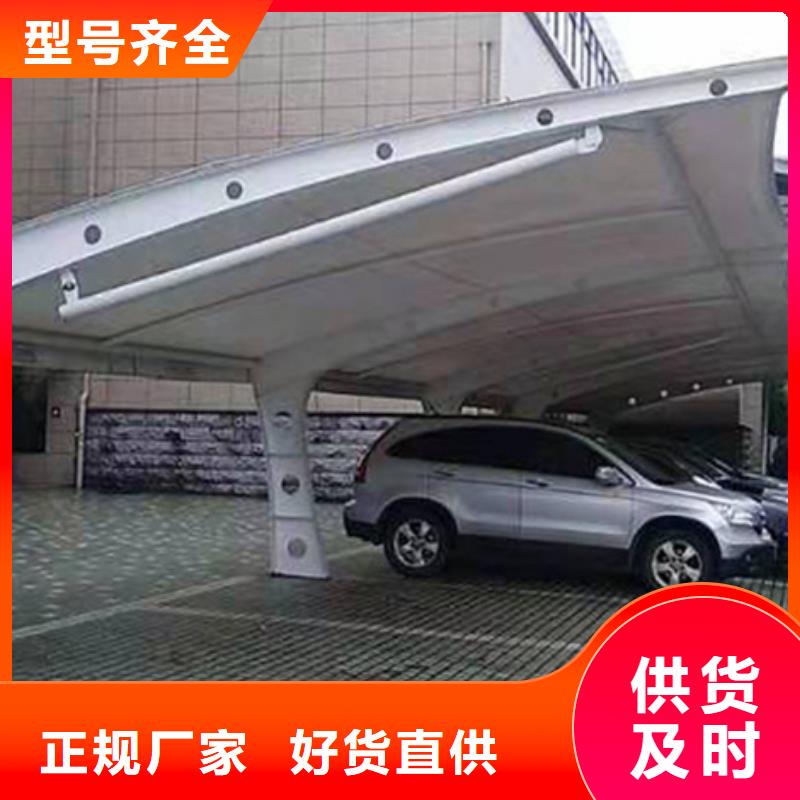 【led灯箱】视频-【led灯箱】|河北省保定市|安国|博野|石家庄|衡水|秦皇岛|廊坊|唐山|邯郸|沧州