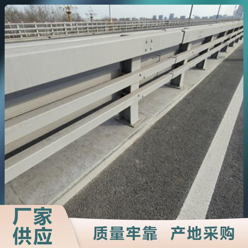 专注制造桥梁护栏厂家