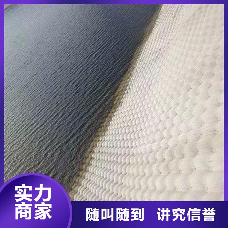 蛙人服务公司水下堵漏专业可靠