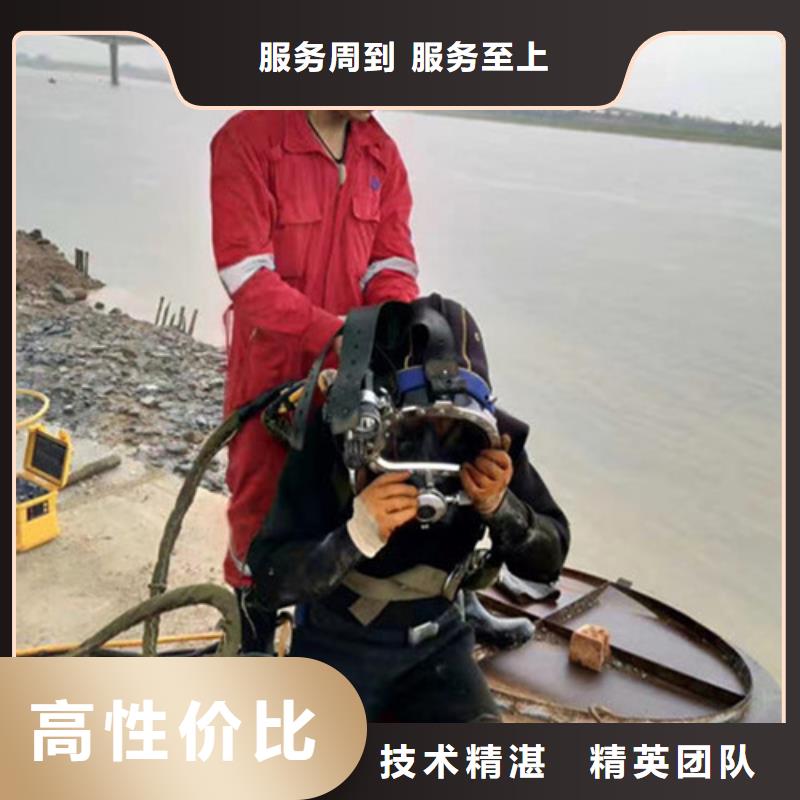 水下作业水下检查有实力
