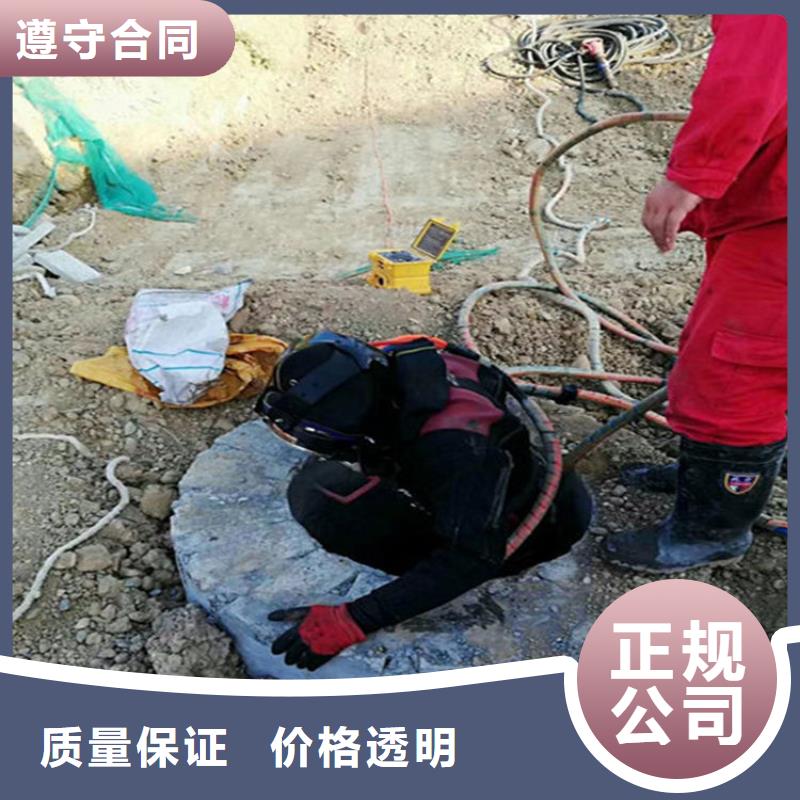 水下 水下录像明码标价