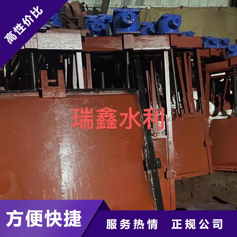 平面拱形闸门-平面铸铁闸门技术领先