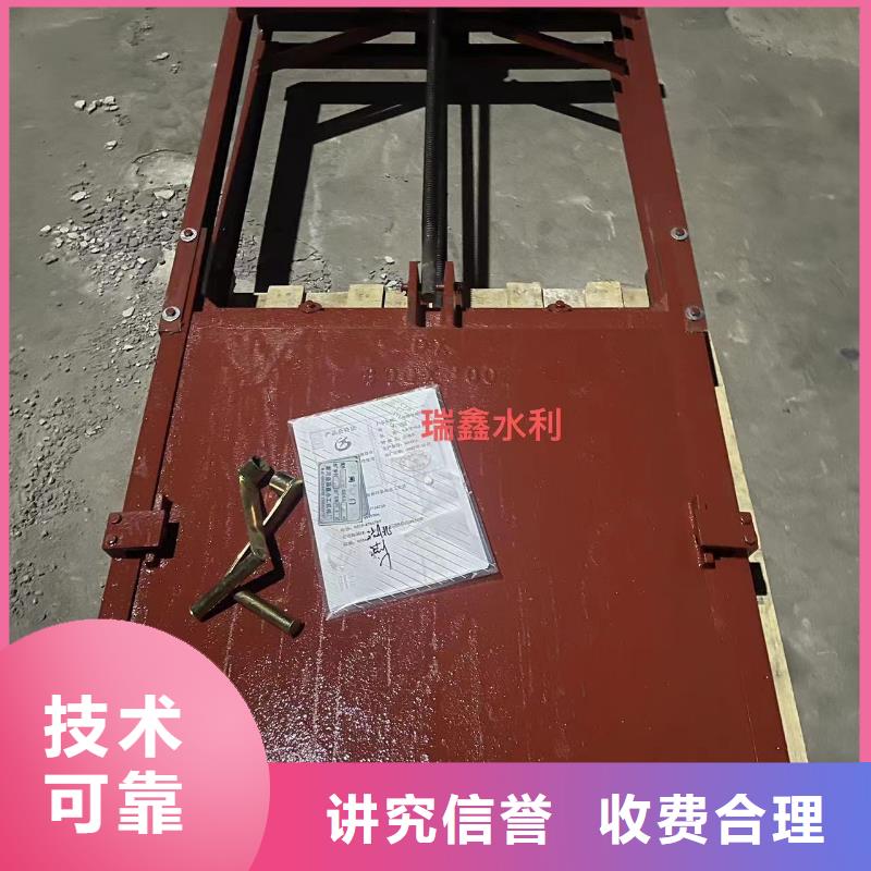 启闭机闸门-双向止水铸铁闸门定制化