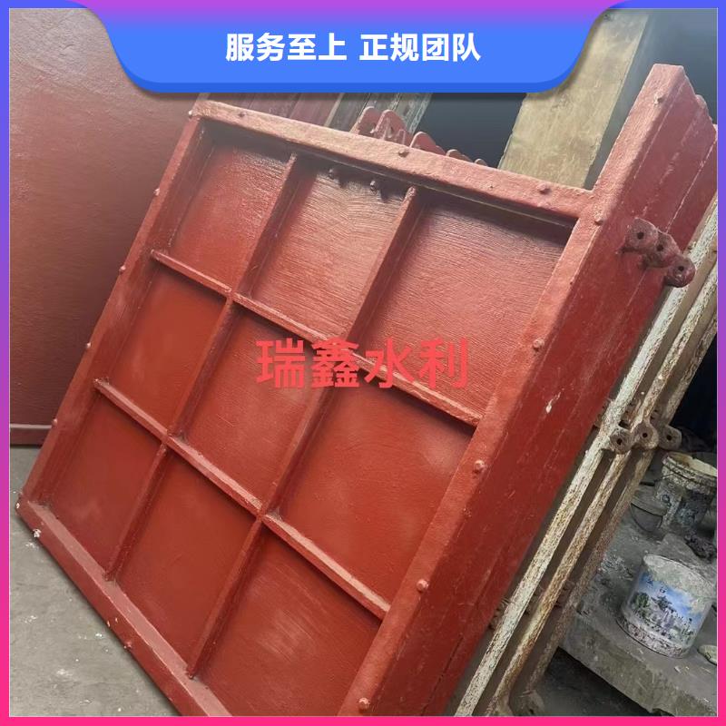 铸铁镶铜闸门-水电站闸门终身维护