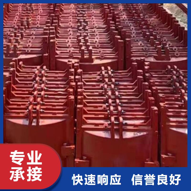 铸铁闸门-双向止水铸铁镶铜闸门老牌