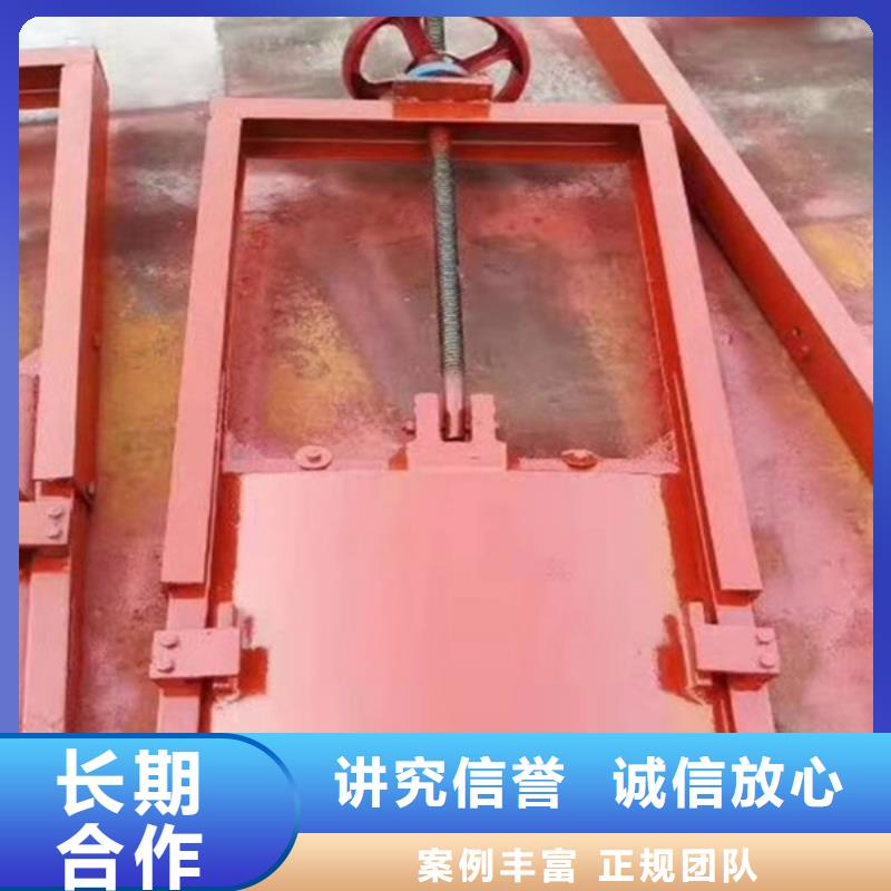墙式镶铜铸铁圆闸门